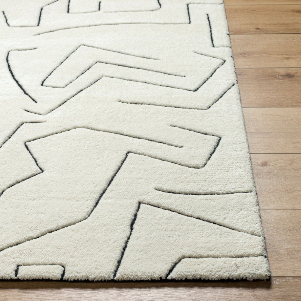 Livabliss Portobello Hand Tufted Wool Accent Rug Plush Medium Pile for Entryway or Bedside White, Black 2' x 3' PBO2300-23