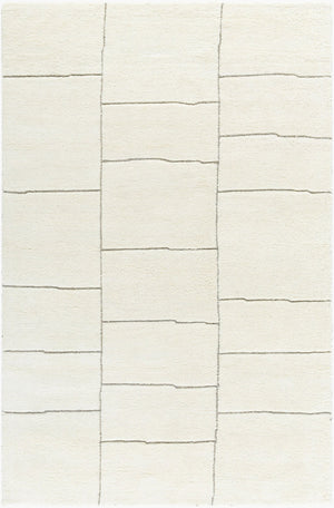 Livabliss Portobello Hand Tufted Wool Accent Rug Soft Medium Pile for Entryway or Bedroom Ivory, Charcoal 5' x 7'6" PBO2307-576