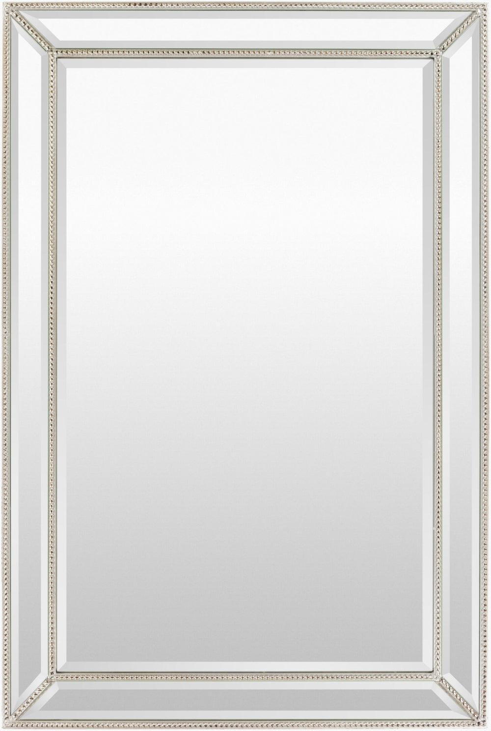 Livabliss Pemberton Slim Modern Accent Mirror Vertical Frame for Entryway Bedroom or Hallway PBT-1102