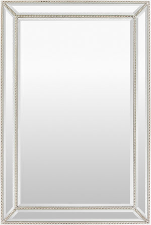 Livabliss Pemberton Slim Modern Accent Mirror Vertical Frame for Entryway Bedroom or Hallway PBT-1102