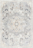 Perception PCP-2317 7'10" x 9'2" Machine Woven Rug PCP2317-7996 Livabliss Surya