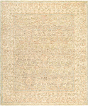 Surya Picasso Hand Knotted Wool Area Rug Artisan Low Pile Fringe Accent for Entryway 8' x 10' Rectangle PCS2300-810