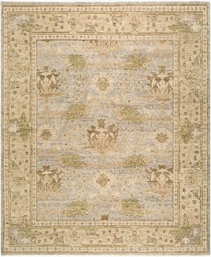 Surya Picasso Hand-knotted Wool Accent Rug Traditional Fringe Detail for Entryways and Bedrooms 9' x 12' Rectangle PCS2301-912