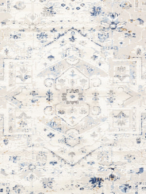 Pasargad Luxurious Efes Design Area Rug - Elevate Your Space With Stunning Traditional Elegance   Pd-169b 6x9