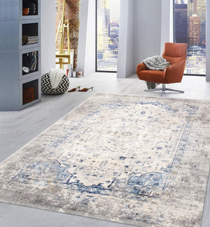 Pasargad Luxurious Efes Design Area Rug - Elevate Your Space With Stunning Traditional Elegance   Pd-169b 6x9