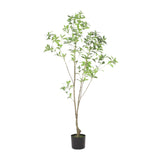 Christopher Knight Home® - Noble House - Bergweg 5' X 2' Artificial Pieris Tree, Green