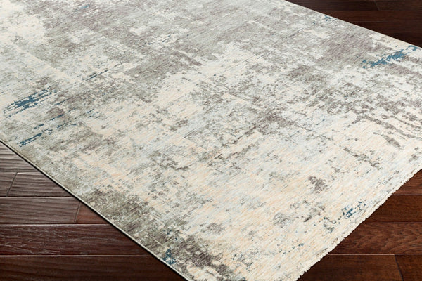 Livabliss Presidential Machine Woven Polyester Area Rug with Fringed Edges Mid-century Modern Style Dusty Sage, Gra 3'3" x 5' PDT2301-335