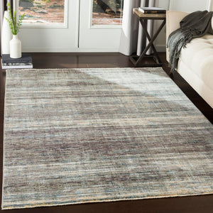 Livabliss Presidential Fringe Border Polyester Area Rug Mid-century Modern Style for Living Rooms Dusty Sage, Gra 5' x 8'2" PDT2309-582