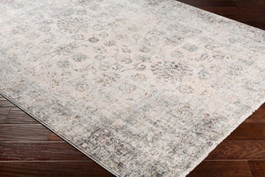 Livabliss Presidential Fringe Accent Rug Machine Woven Polyester Traditional Entryway Floor Mat Dusty Sage, Gra 3'3" x 8' PDT2310-338