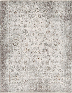Livabliss Presidential Fringe Accent Rug Machine Woven Polyester Traditional Entryway Floor Mat Dusty Sage, Gra 7'10" x 10' PDT2310-710103