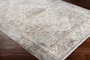Livabliss Presidential Collection Traditional Fringe Area Rug Woven Polyester for Large Rooms Dusty Sage, Gra 8'10" x 12'10" PDT2311-9131