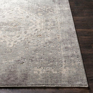 Livabliss Presidential Collection Traditional Fringe Area Rug Woven Polyester for Large Rooms Dusty Sage, Gra 8'10" x 12'10" PDT2311-9131