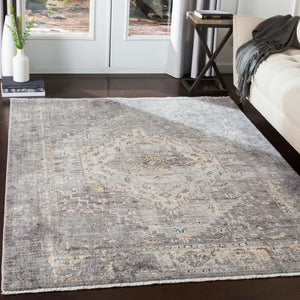 Livabliss Presidential Collection Traditional Fringe Area Rug Woven Polyester for Large Rooms Dusty Sage, Gra 7'10" x 7'10" PDT2311-710RD