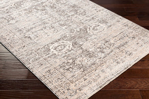 Livabliss Presidential Machine Woven Polyester Rug with Fringe Traditional Accent for Entryways PDT2324-233