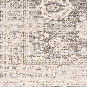 Livabliss Presidential Machine Woven Polyester Rug with Fringe Traditional Accent for Entryways PDT2324-233