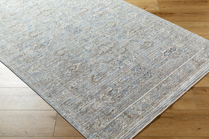 Livabliss Presidential Machine Woven Polyester Area Rug with Fringe for Entryway or Bedroom PDT2330-233