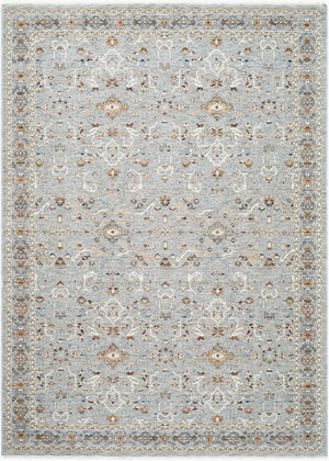 Livabliss Presidential Machine Woven Polyester Area Rug with Fringe Traditional Entryway Accent Pewter, Ivory 8'10" x 12'10" PDT2335-9131