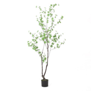 English Elm 180cm Faux Enkianthus Indoor Tree Realistic Disc Leaf Branches Zero Maintenance 74335.00