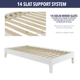 English Elm Steve Silver - Nix - Twin Platform Bed - White