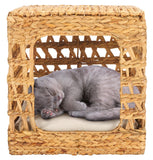 Safavieh Ivie Pet Bed with Cushion Beige / Natural PET1801A