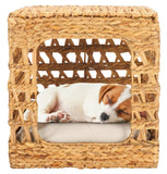 Safavieh Ivie Pet Bed with Cushion Beige / Natural PET1801A