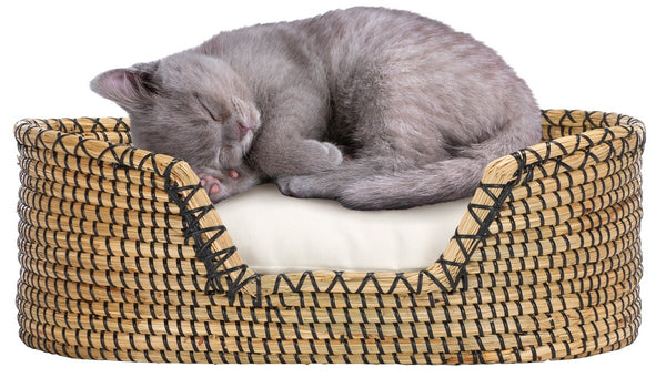 Safavieh Sarge Pet Bed with Cushion Beige / Natural PET1802A