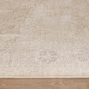 Pasargad Home Turkish Eterna Transitional Area Rug - Timeless Design For Stylish Home Décor   Pfh-11 10x14