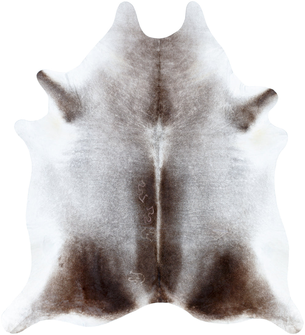 Patagonia PGA-1001 5' x 7' Handmade Rug PGA1001-L  Black, Cream Surya