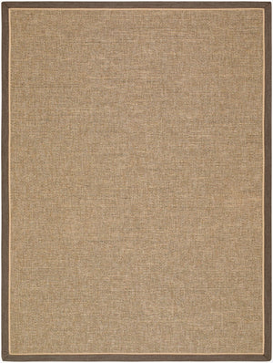 Livabliss Paragon Flatweave Polypropylene Area Rug Farmhouse Cottage Style Living Dining Room Tan, Dark Brown 9'1" x 12' PGR2303-9112