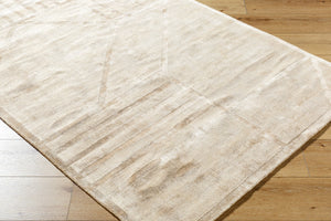 Surya Pier 10' X 14' Handmade Viscose Rug - Plush, Elegant, And Easy-to-clean For Any Home Décor Style Beige Viscose Pie2306-1215