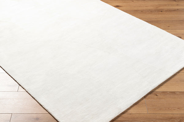 Surya Pier 10' X 14' Handmade Viscose Rug - Plush, Elegant, And Easy-to-clean For Any Home Décor Style Ivory Viscose Pie2308-23