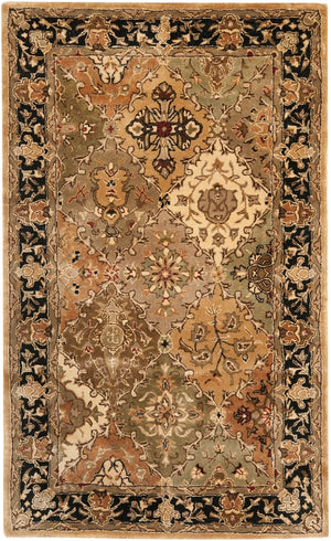 Safavieh Pl510   Rug Light Green / Black PL510A-4