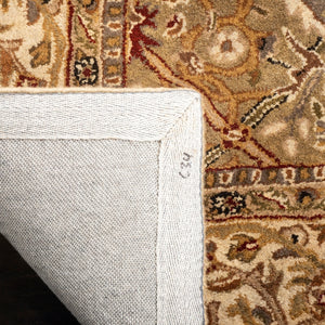 Safavieh Pl519   Rug Light Green / Beige PL519A-CNR