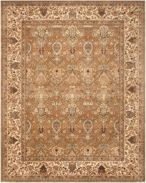 Safavieh Pl519   Rug Light Green / Beige PL519A-CNR