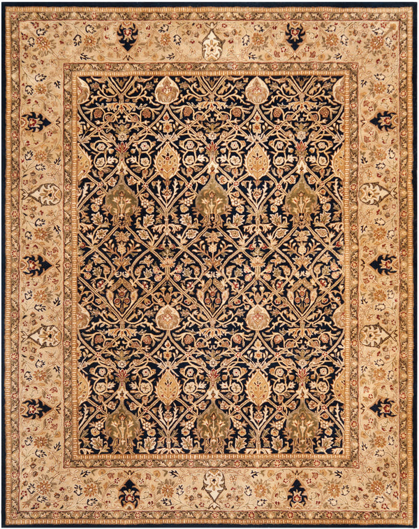 Safavieh Pl519   Rug Blue / Gold PL519C-CNR
