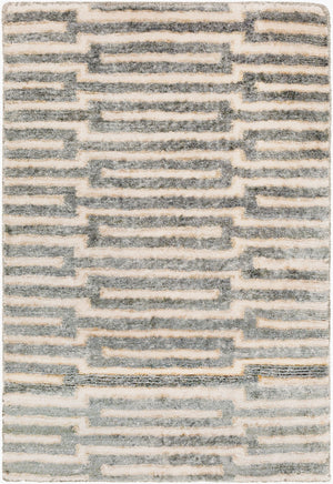 Surya Platinum Handmade 2' X 3' Viscose Rug - Glam Modern Design, Exquisite Indian Craftsmanship, Warmth Brown Viscose Plat9000-23