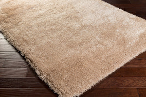 Surya Portland 2' X 3' Handmade Rug - Modern Decor, Durable Plush Pile, Easy Care, Stylish Addition Beige Polyester Pld2003-58