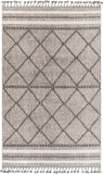 Palermo PLR-2301 9'2" x 12' Machine Woven Rug PLR2301-9212 Livabliss Surya