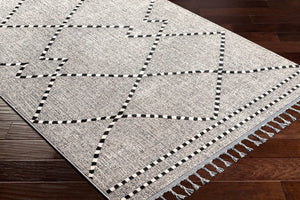 Livabliss Palermo Bohemian Global Machine Woven Area Rug for Living Room and Dining Spaces PLR2302-9212