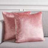 Safavieh Jovanni Pillow PLS503F-1818-SET2