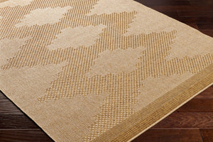 Livabliss Pismo Beach Flatweave Polypropylene Area Rug for Indoor Outdoor High Traffic Spaces Tan, Amber 7'10" x 7'10" PMB2301-710RD