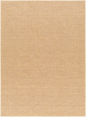 Livabliss Pismo Beach Flatweave Polypropylene Area Rug Turkey Woven Indoor Outdoor Durable PMB2308-537