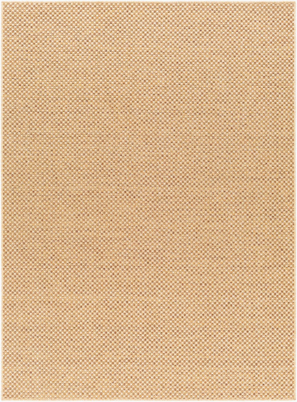 Livabliss Pismo Beach Flatweave Polypropylene Area Rug Turkey Woven Indoor Outdoor Durable PMB2308-537