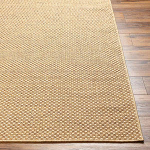 Livabliss Pismo Beach Flatweave Polypropylene Area Rug Turkey Woven Indoor Outdoor Durable PMB2308-537