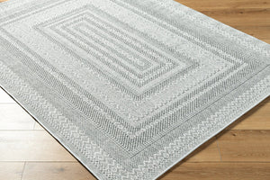 Livabliss Pismo Beach Coastal Polypropylene Area Rug Low Pile Indoor Outdoor Living Room Floor Medium Gray, Wh 9'1" x 12' PMB2316-9212