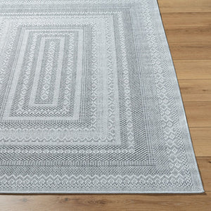 Livabliss Pismo Beach Coastal Polypropylene Area Rug Low Pile Indoor Outdoor Living Room Floor Medium Gray, Wh 9'1" x 12' PMB2316-9212