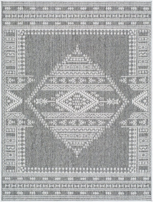 Livabliss Pismo Beach Flatweave Polypropylene Area Rug for Entryway Patio High Traffic Spaces Medium Gray, Gr 5'2" x 7' PMB2317-537