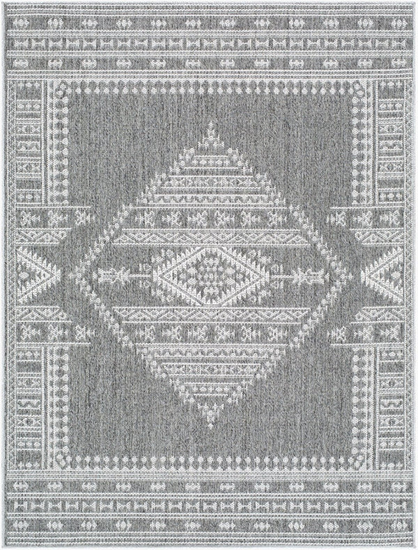 Livabliss Pismo Beach Flatweave Polypropylene Area Rug for Entryway Patio High Traffic Spaces Medium Gray, Gr 5'2" x 7' PMB2317-537