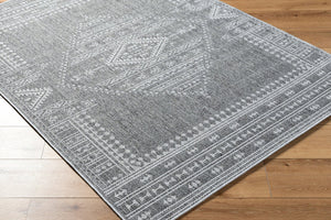 Livabliss Pismo Beach Flatweave Polypropylene Area Rug for Entryway Patio High Traffic Spaces Medium Gray, Gr 5'2" x 7' PMB2317-537