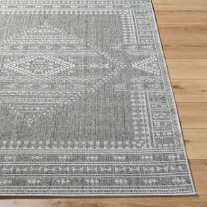 Livabliss Pismo Beach Flatweave Polypropylene Area Rug for Entryway Patio High Traffic Spaces Medium Gray, Gr 5'2" x 7' PMB2317-537